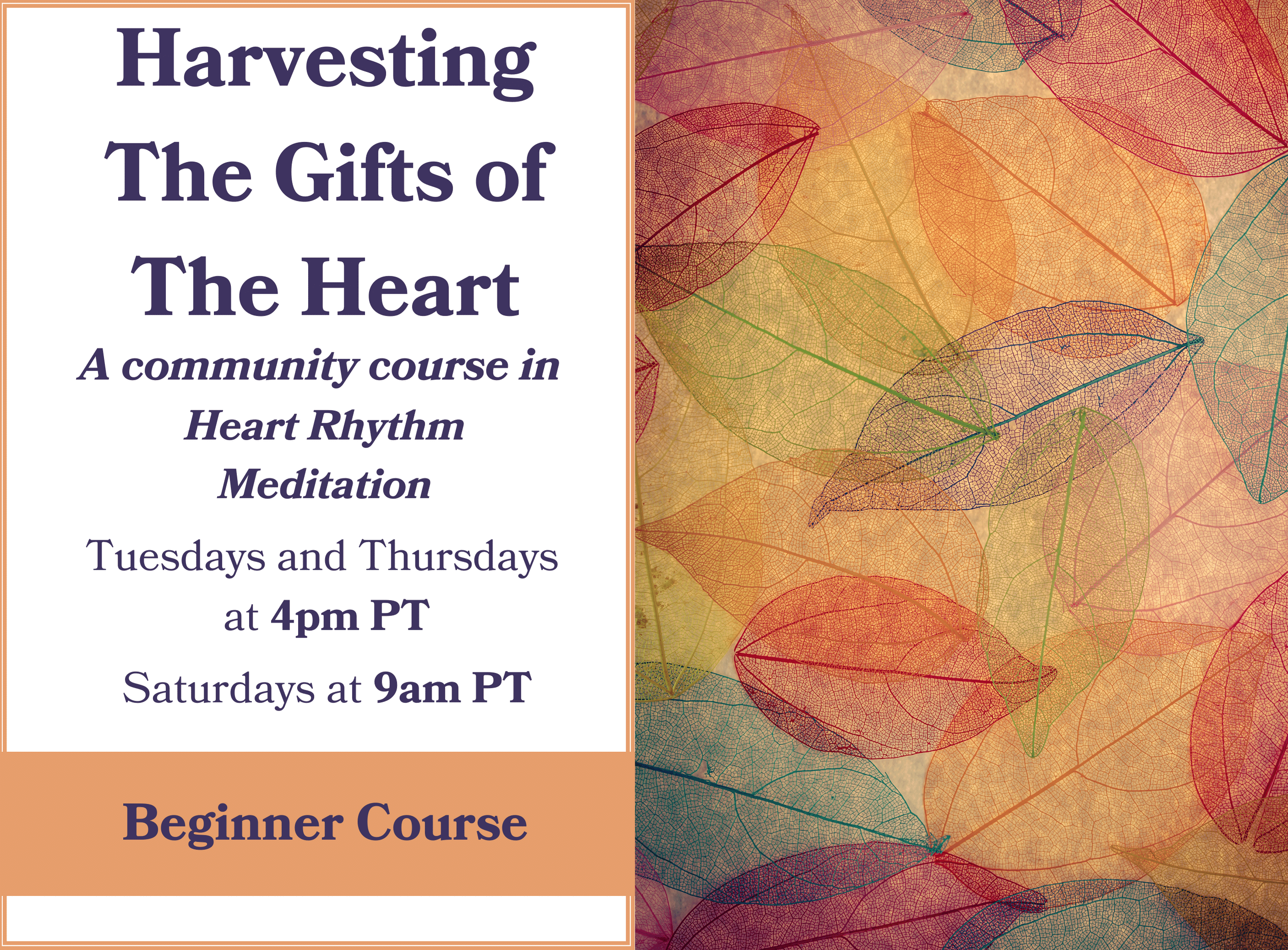 Harvesting The Gifts of The Heart