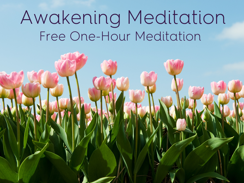 Awakening Meditation