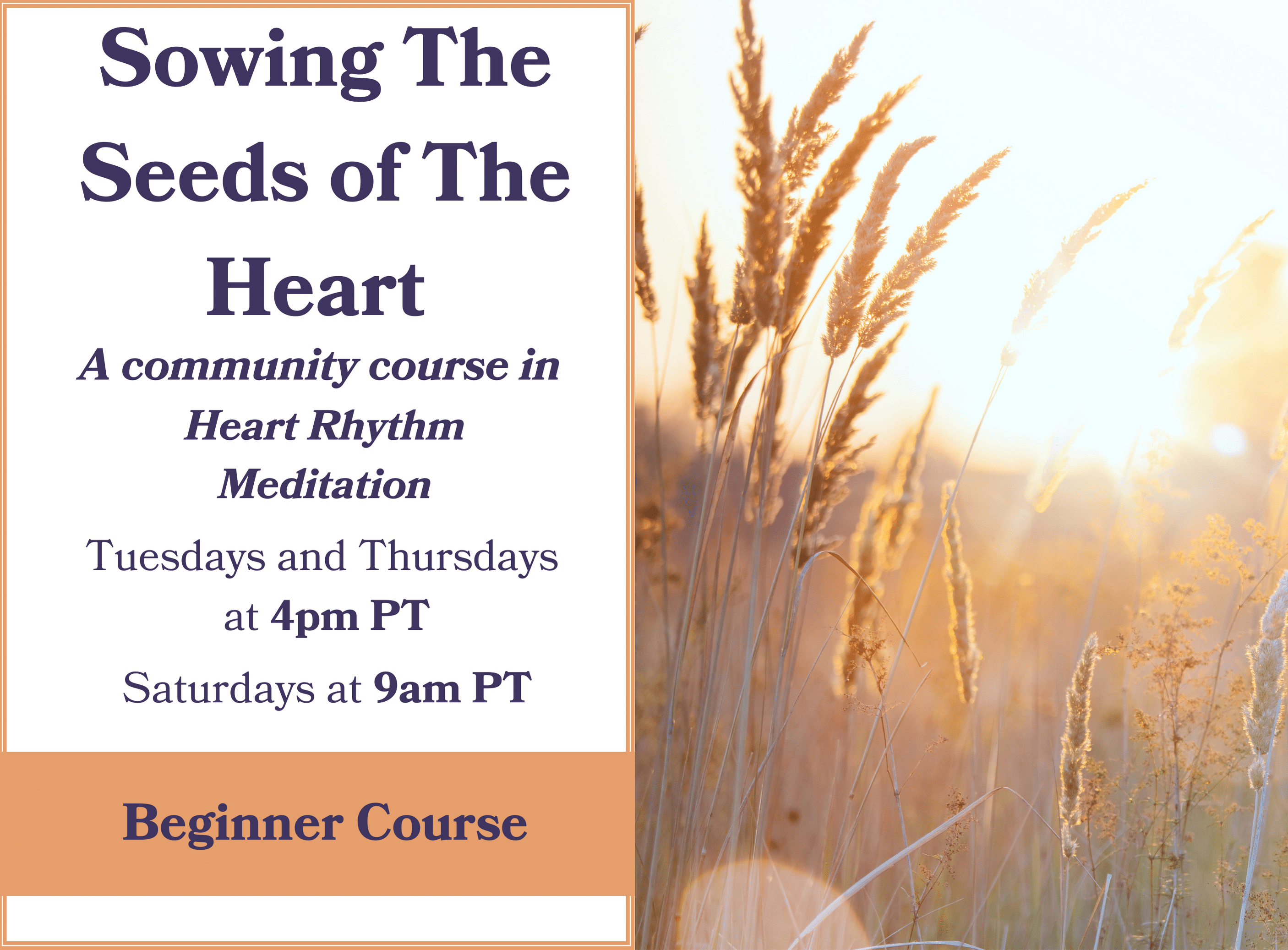 Sowing the Seeds of The Heart