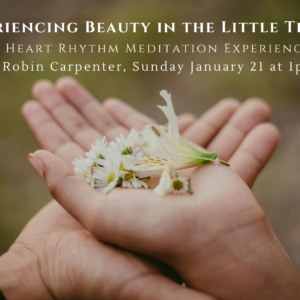 Experiencing Beauty in the Little Things