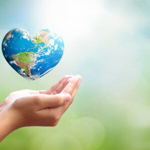 The Heart of the Earth