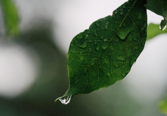 aaron-burden-rP1sy-UPAGE-unsplash